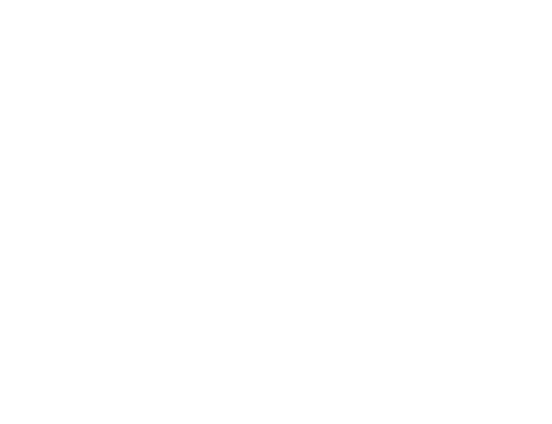 ZS Realty Group